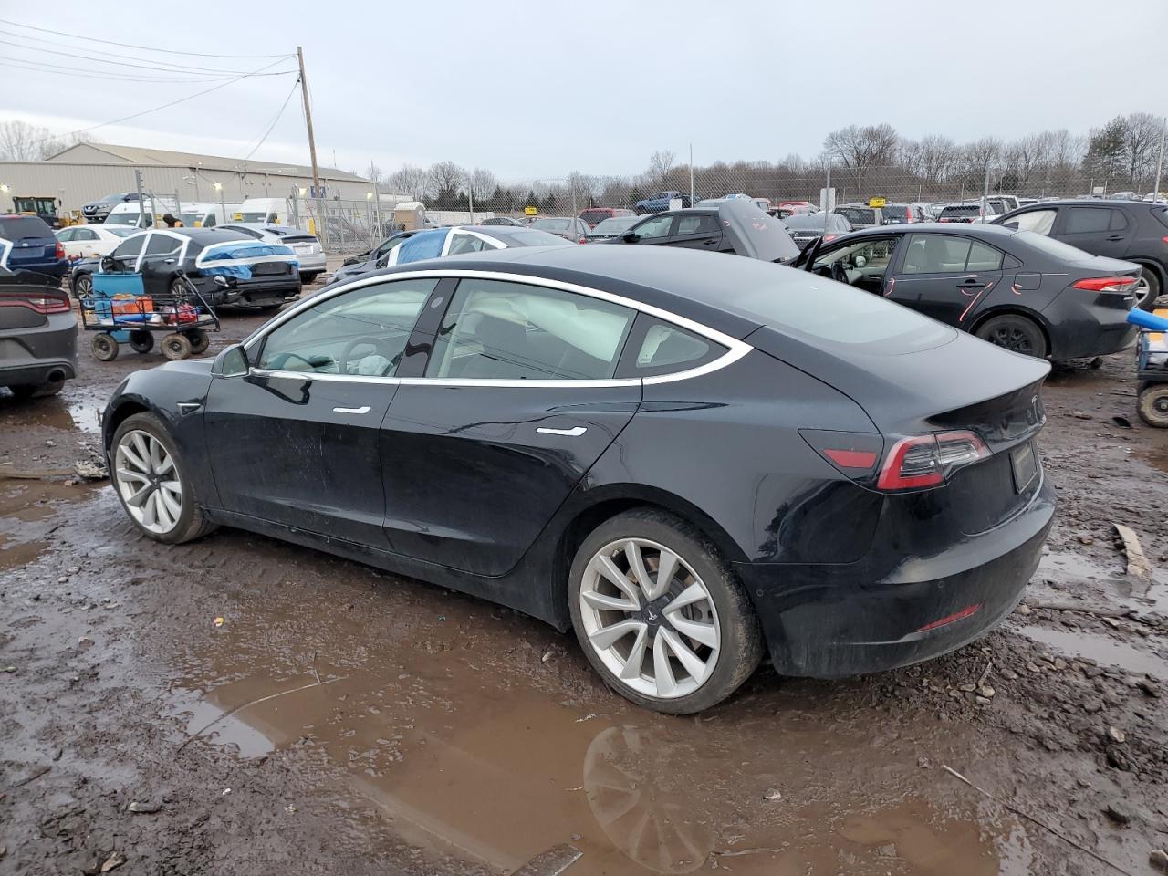 2019 TESLA MODEL 3 - Фото 2