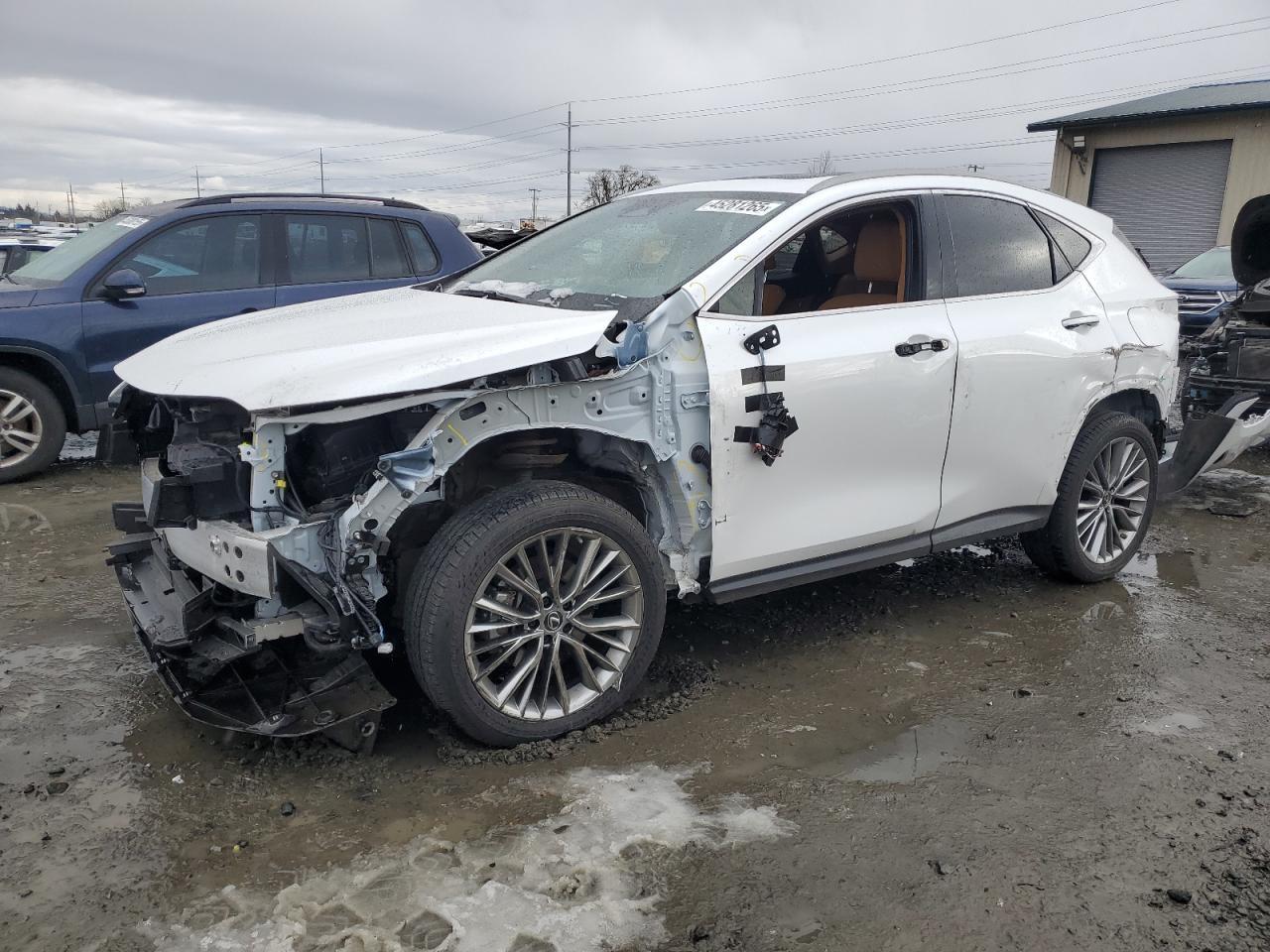 2023 LEXUS NX 350H
