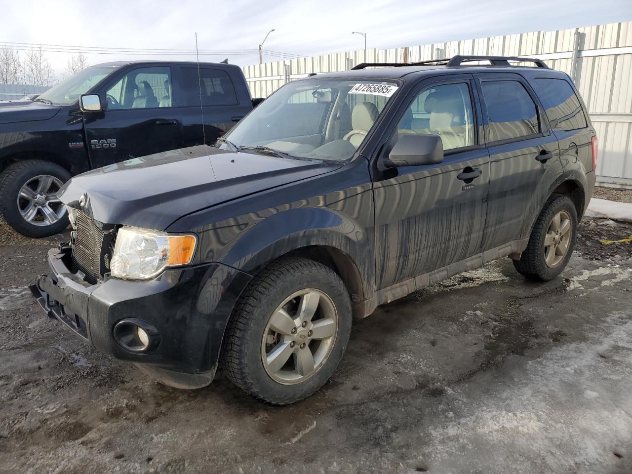 2010 FORD ESCAPE XLT