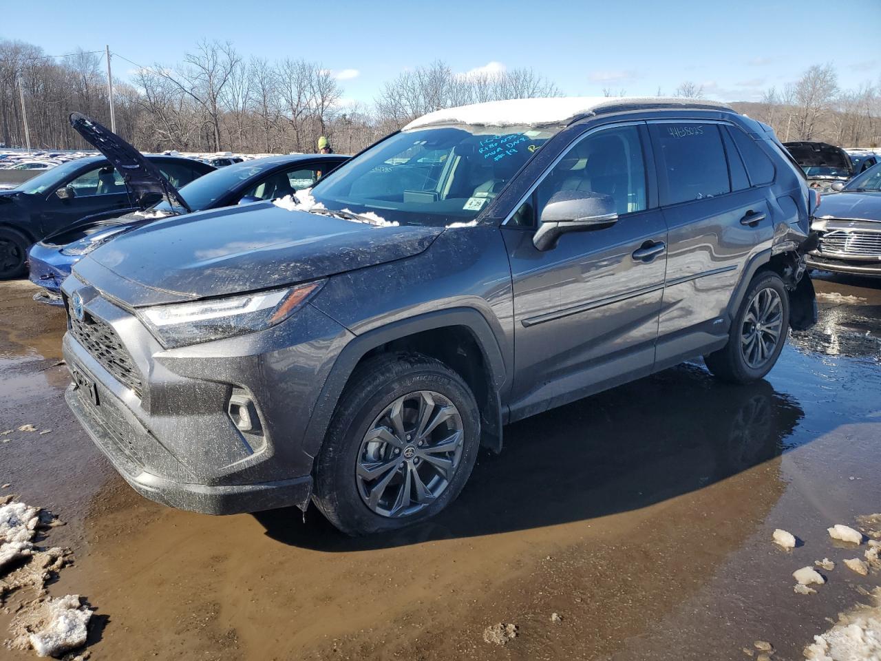 2024 TOYOTA RAV4 XLE P