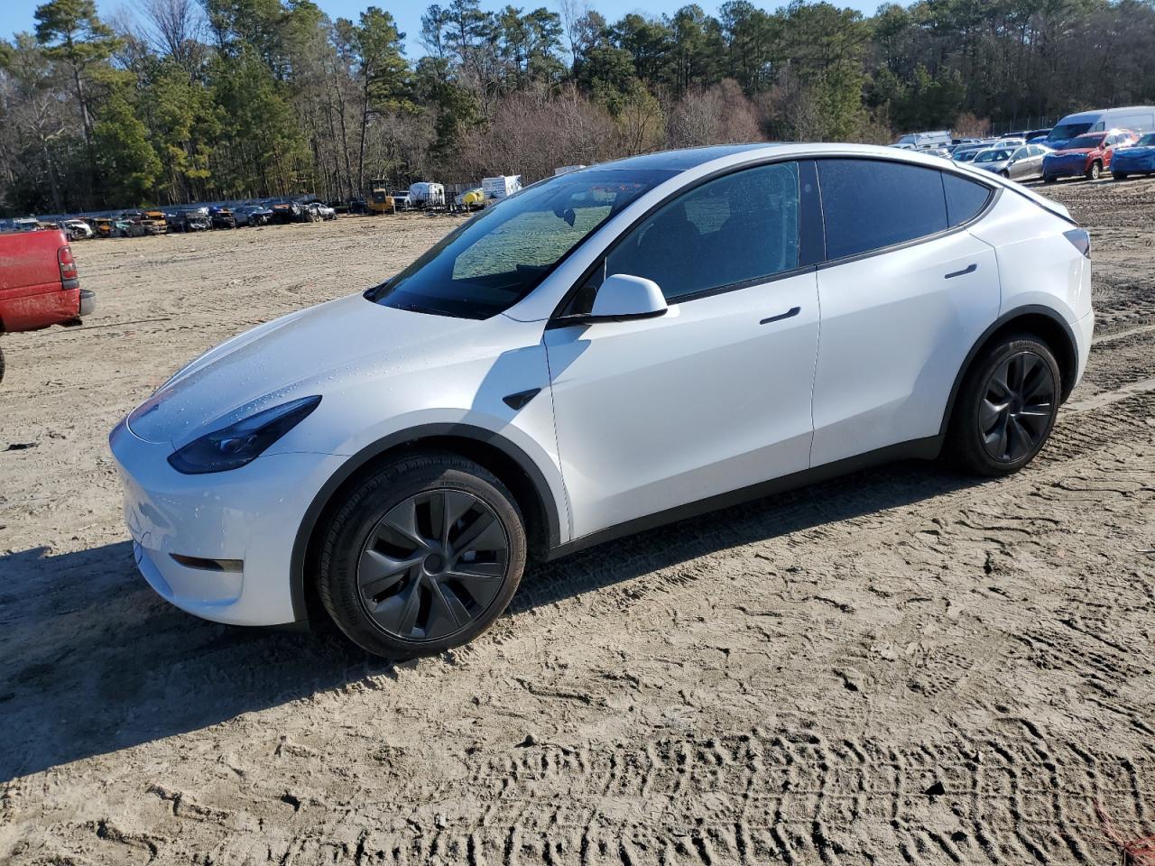 2024 TESLA MODEL Y