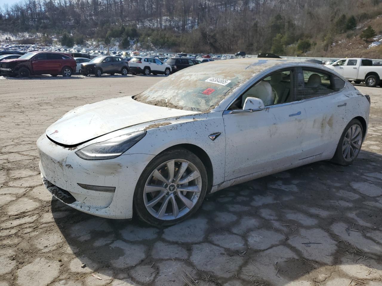 2019 TESLA MODEL 3