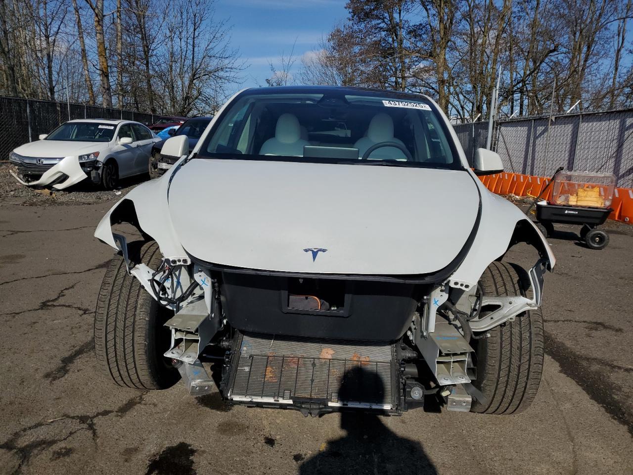 2023 TESLA MODEL Y - Фото 5