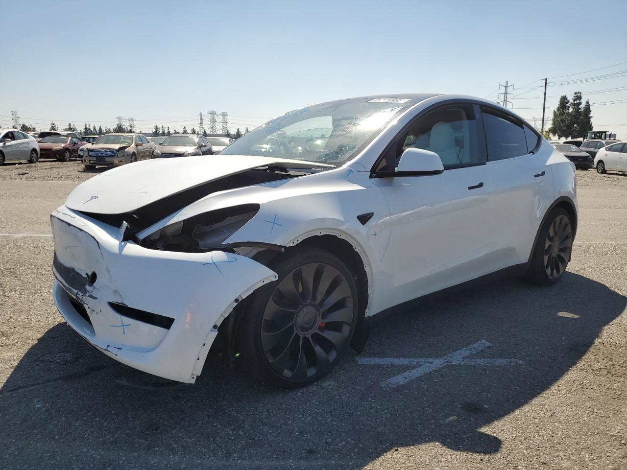 2023 TESLA MODEL Y