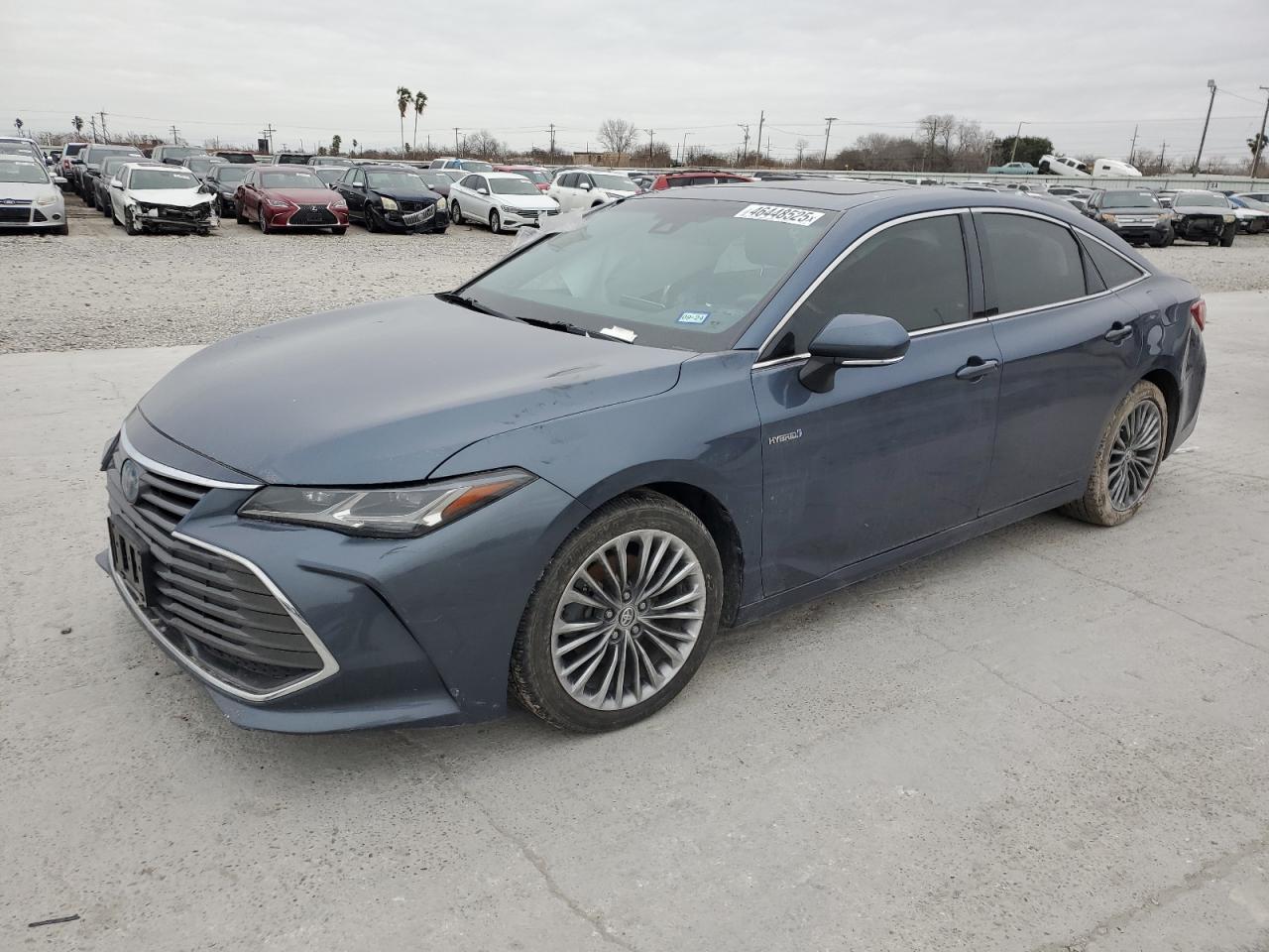 2019 TOYOTA AVALON XLE