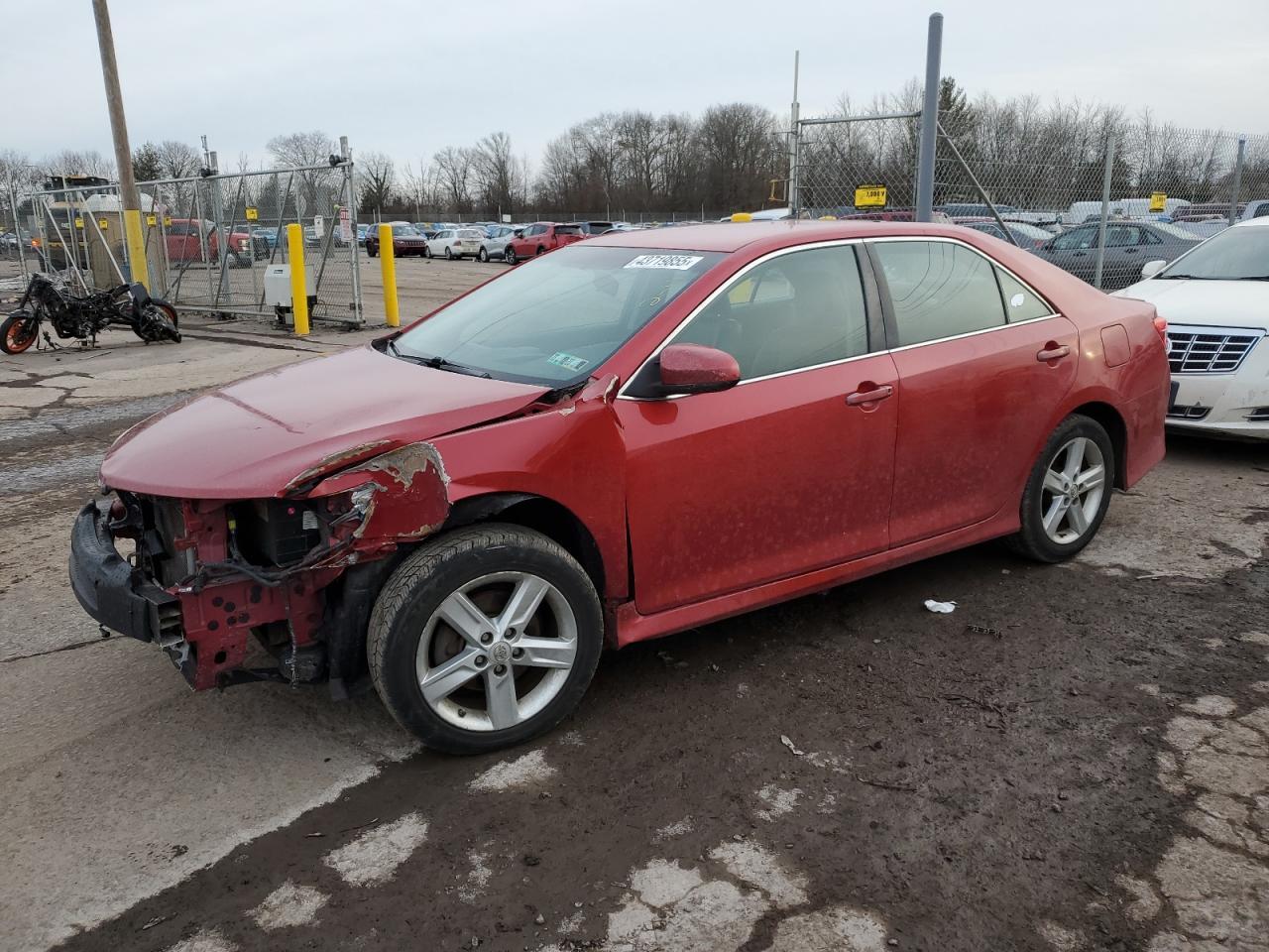 2014 TOYOTA CAMRY L