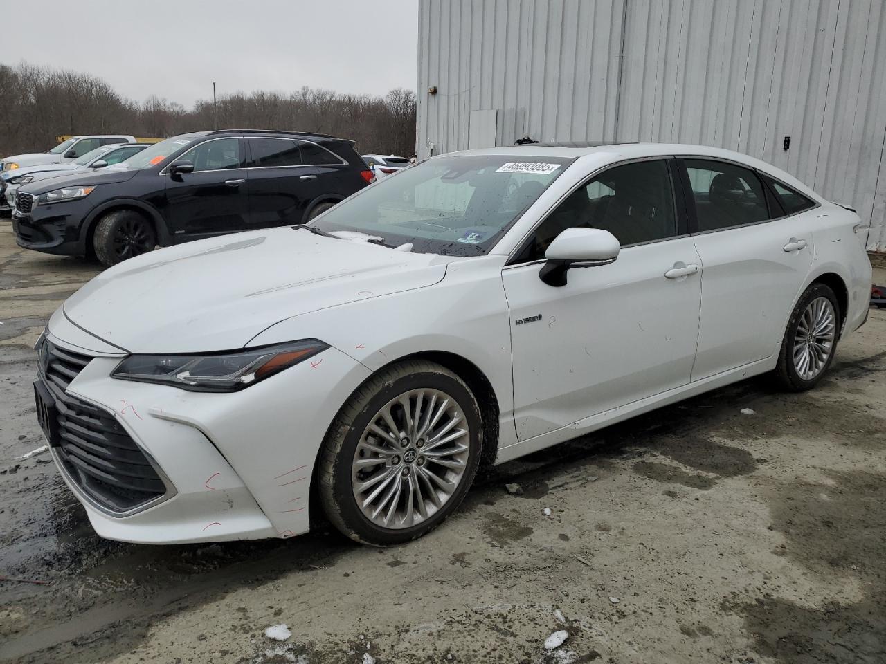 2019 TOYOTA AVALON XLE