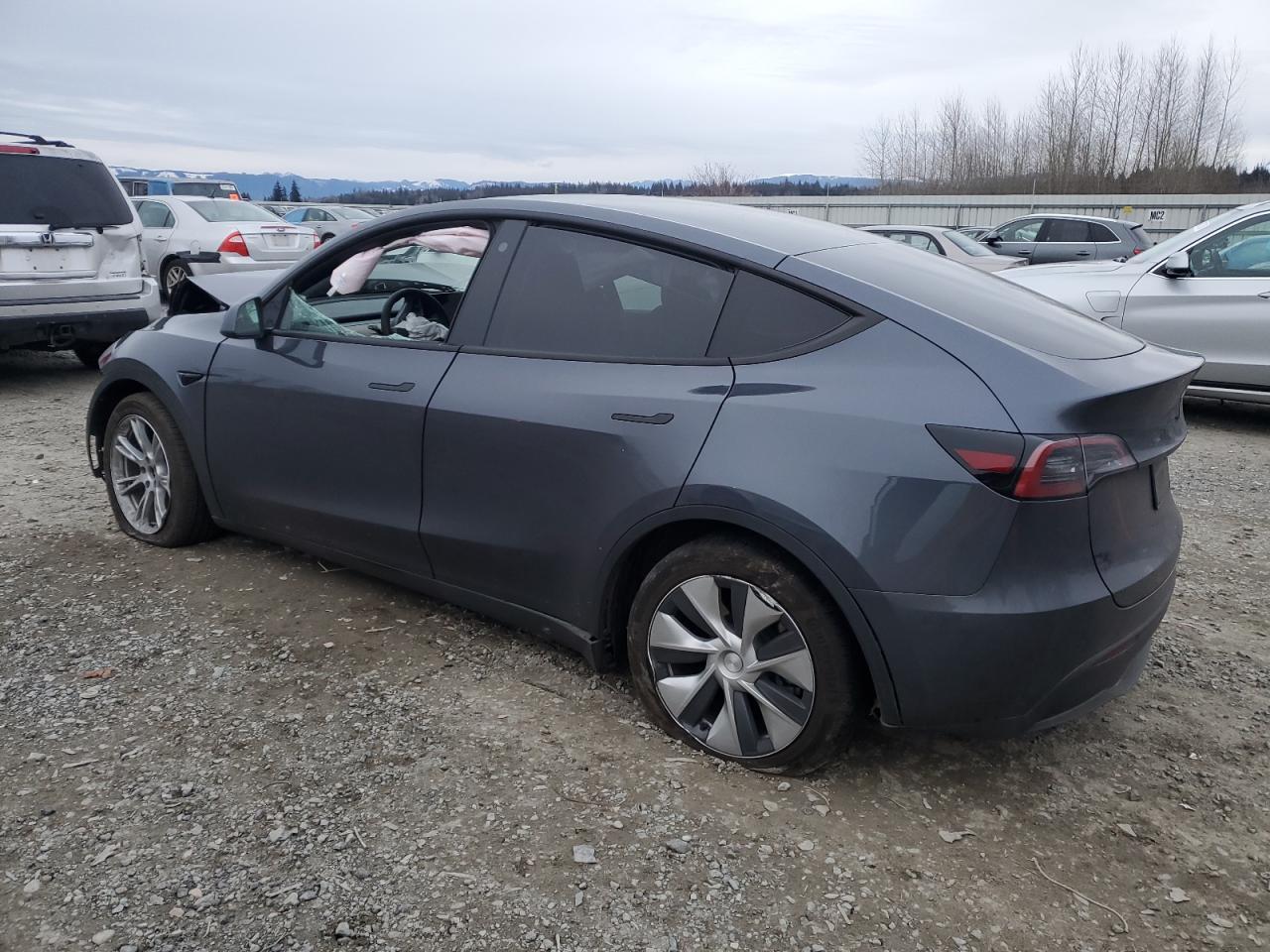 2023 TESLA MODEL Y - Image 2