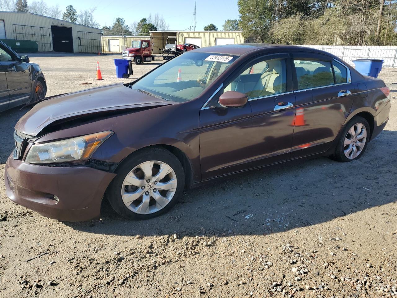 2010 HONDA ACCORD EXL