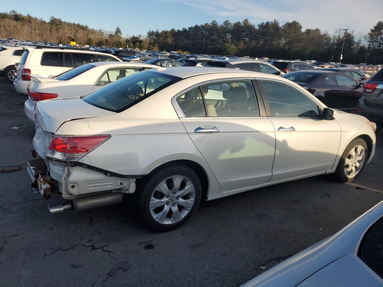 2010 HONDA ACCORD EXL - Фото 3