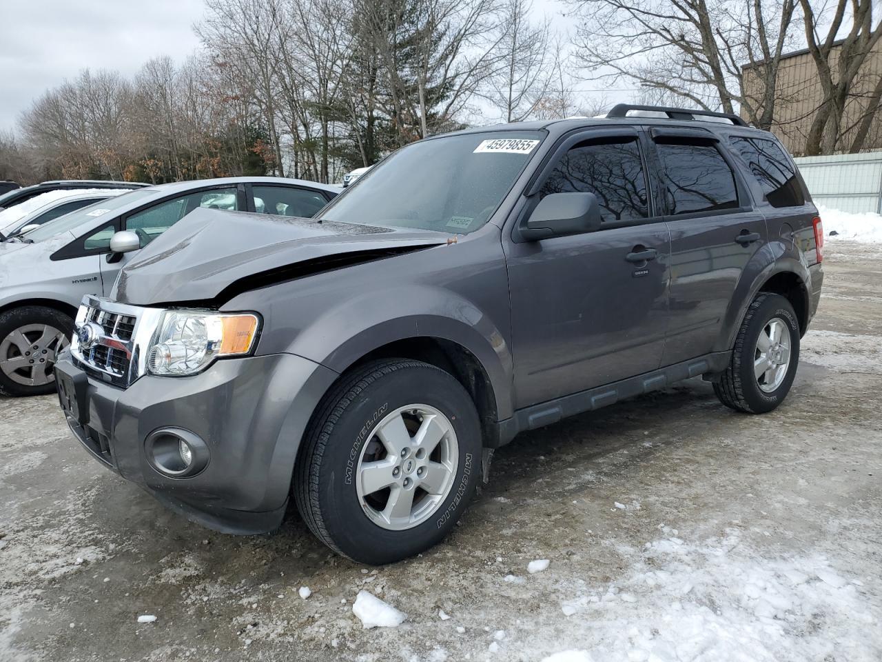 2010 FORD ESCAPE XLT