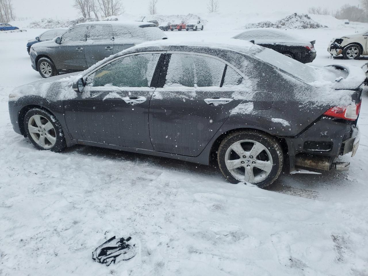 2010 ACURA TSX - Image 2