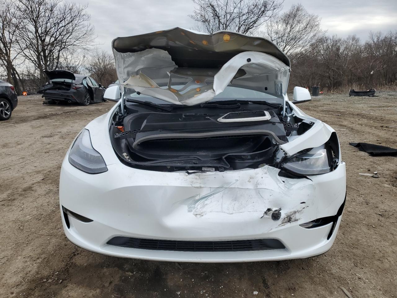2025 TESLA MODEL Y - Image 5