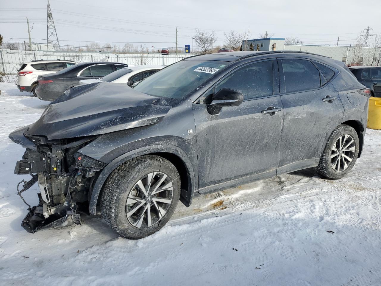 2024 LEXUS NX 350 LUX