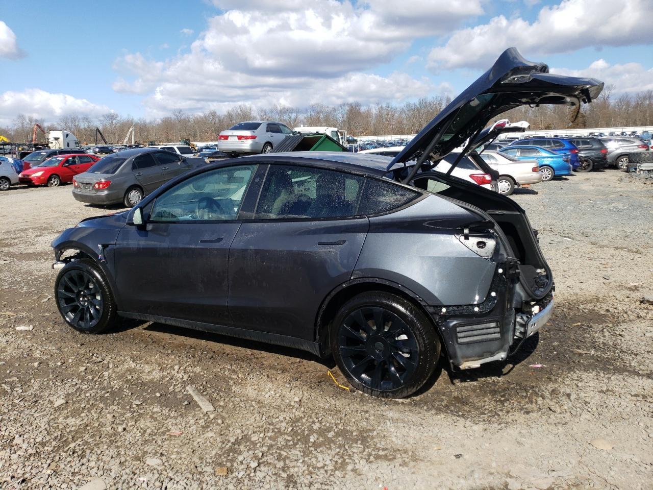 2024 TESLA MODEL Y - Фото 2