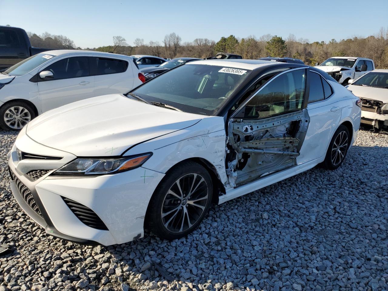 2019 TOYOTA CAMRY L