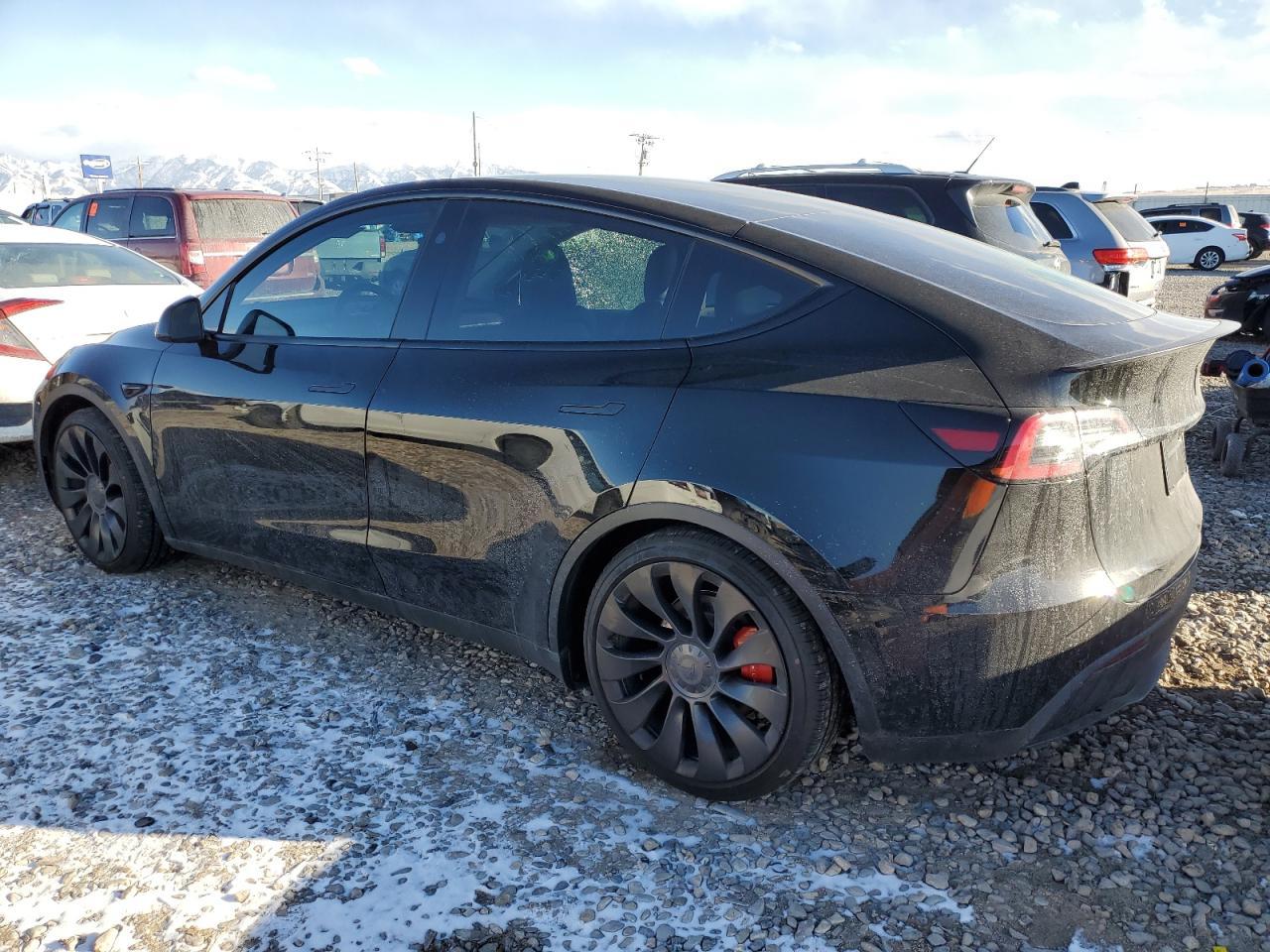 2025 TESLA MODEL Y - Фото 2