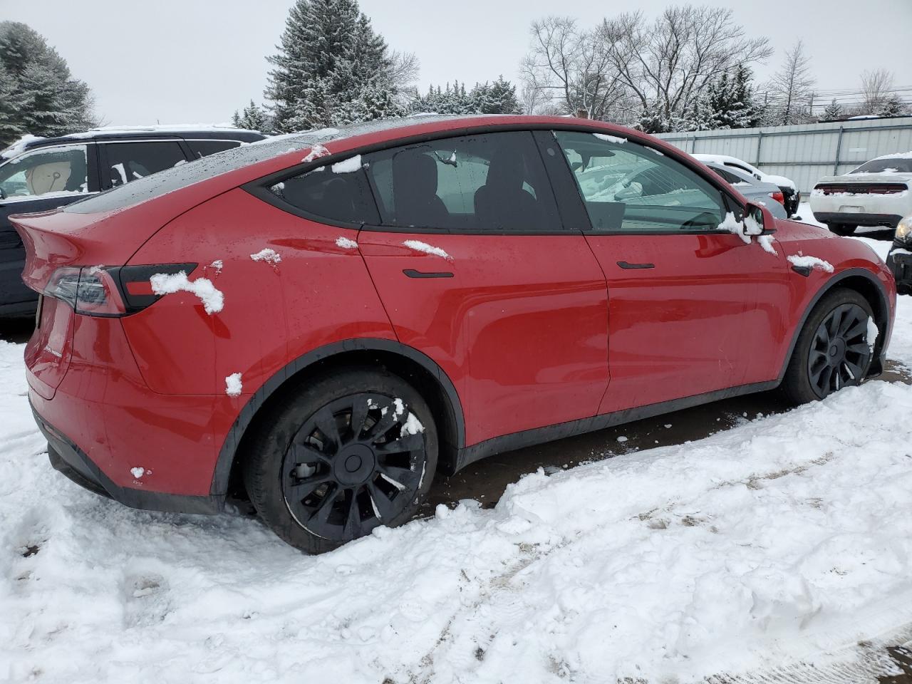 2023 TESLA MODEL Y - Image 3