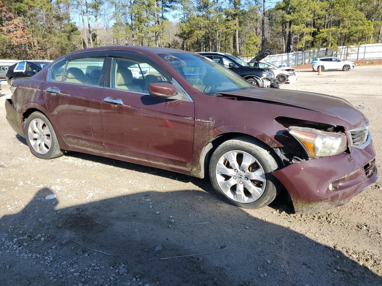 2010 HONDA ACCORD EXL - Image 4