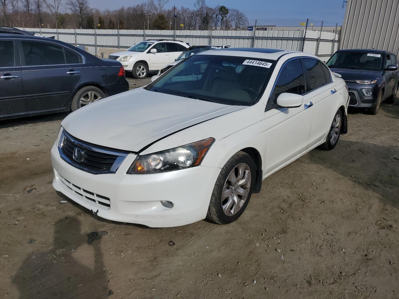 2010 HONDA ACCORD EXL