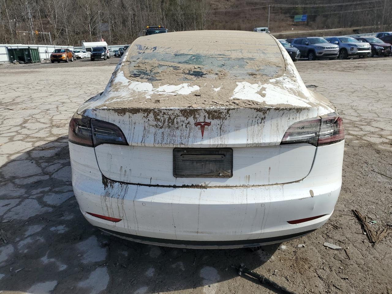 2019 TESLA MODEL 3 - Фото 6