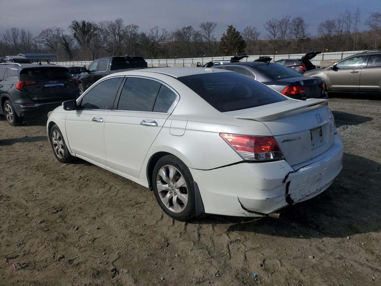2010 HONDA ACCORD EXL - Image 2