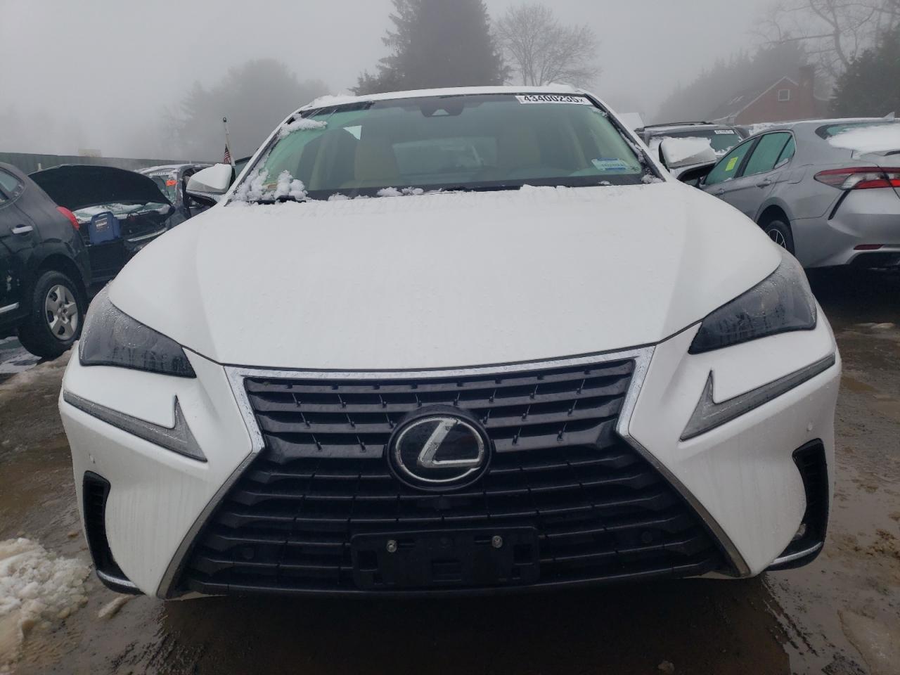 2019 LEXUS NX 300 BAS - Image 5