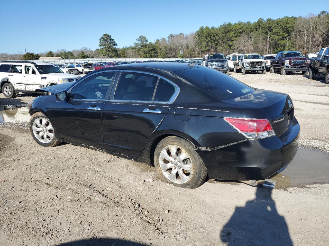 2010 HONDA ACCORD EXL - Image 2
