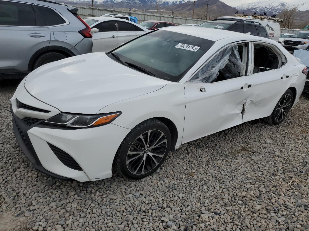 2019 TOYOTA CAMRY L
