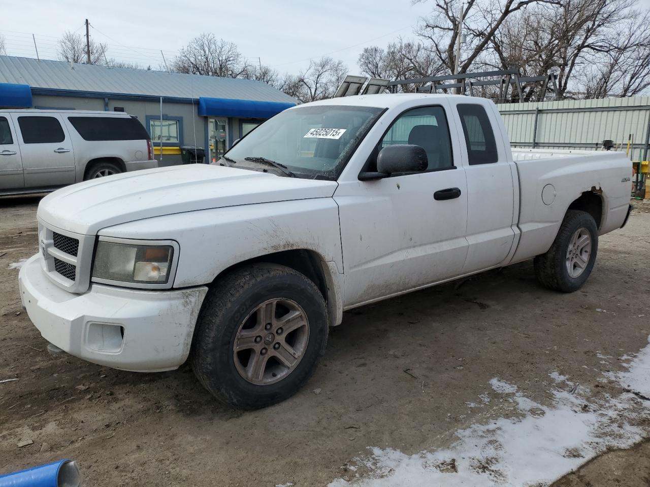 2011 DODGE DAKOTA SLT