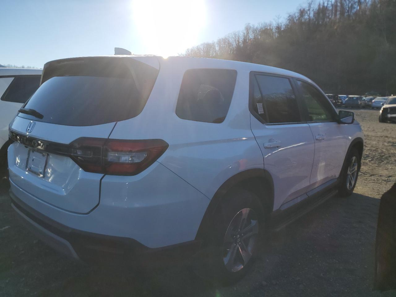 2024 HONDA PILOT EXL - Image 3