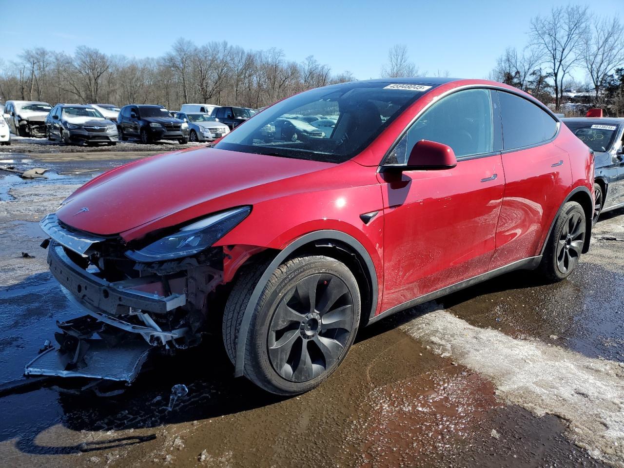 2023 TESLA MODEL Y