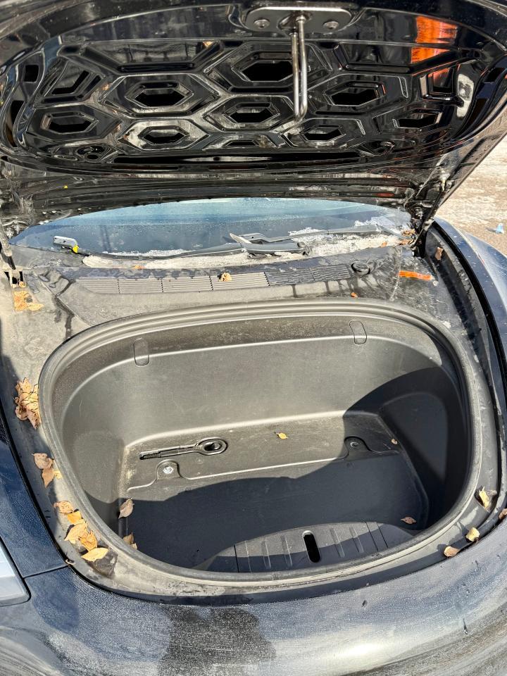 2019 TESLA MODEL 3 - Image 7