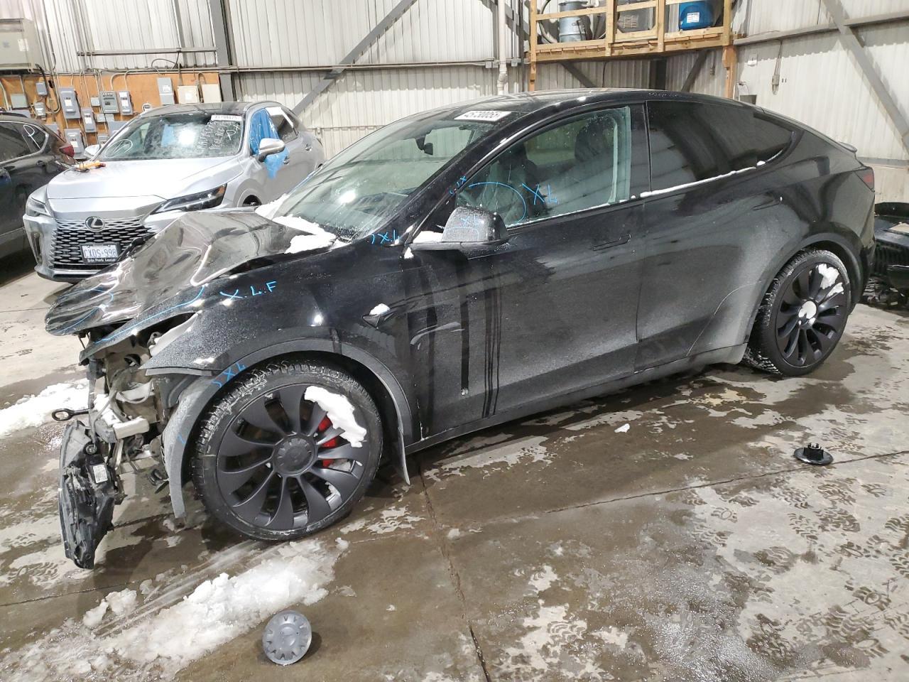 2023 TESLA MODEL Y