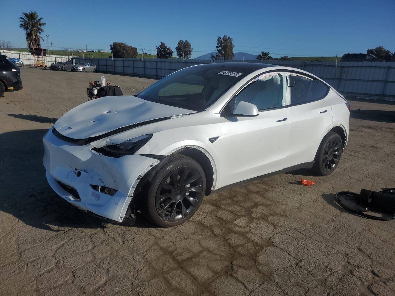 2024 TESLA MODEL Y