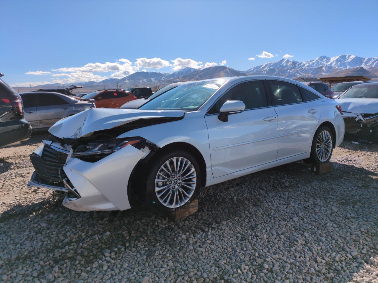 2019 TOYOTA AVALON XLE