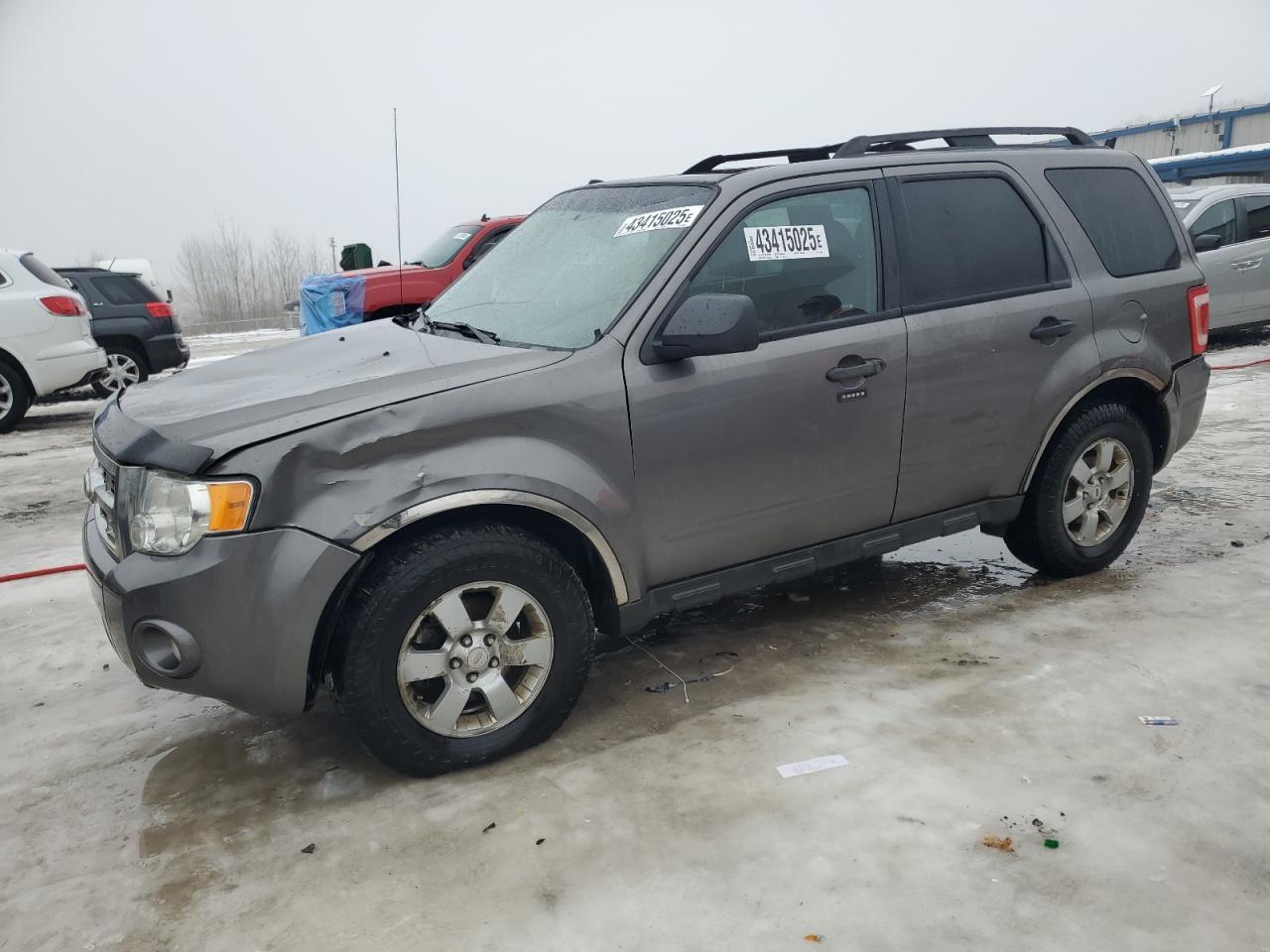 2010 FORD ESCAPE XLT