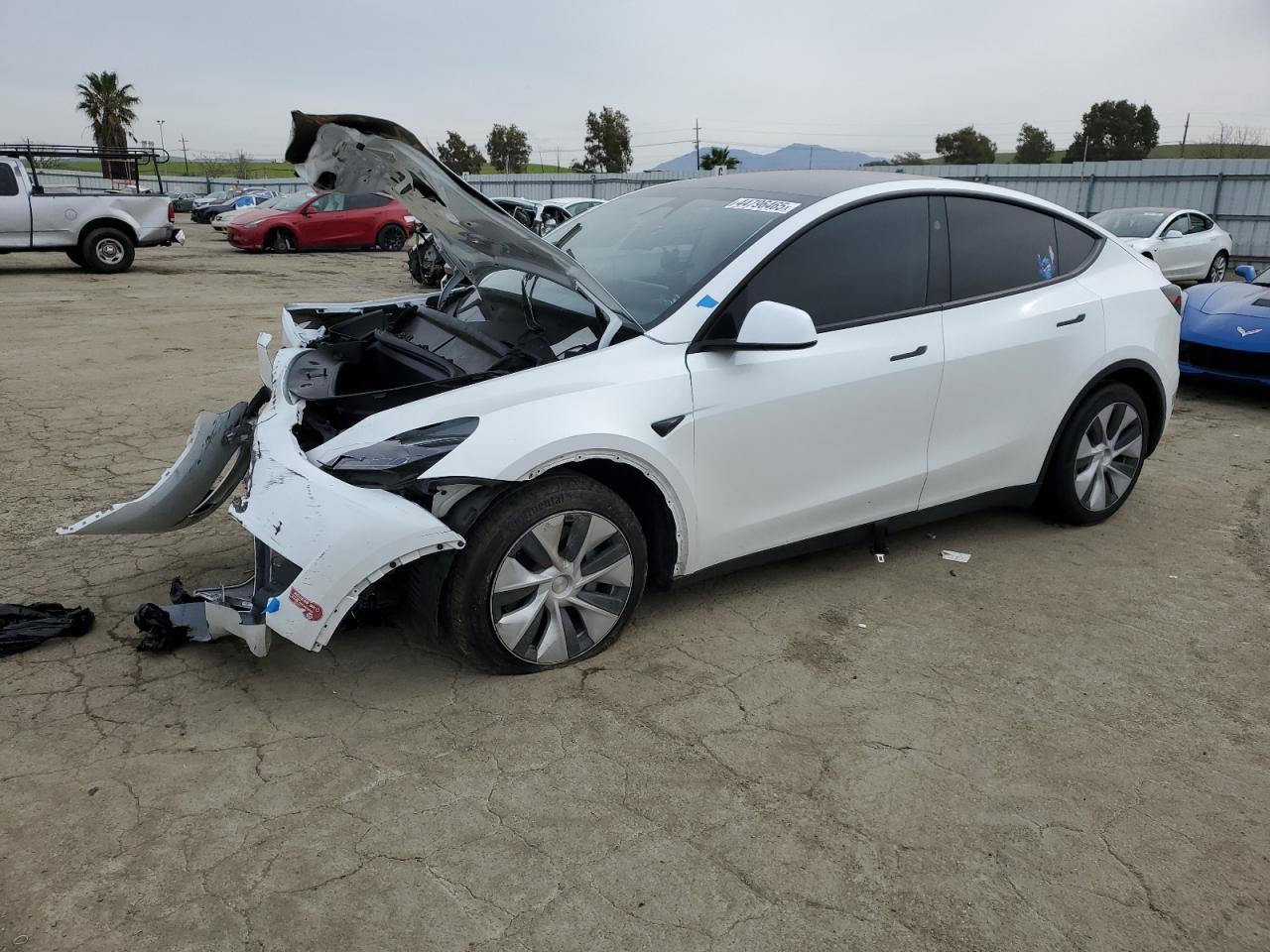 2024 TESLA MODEL Y