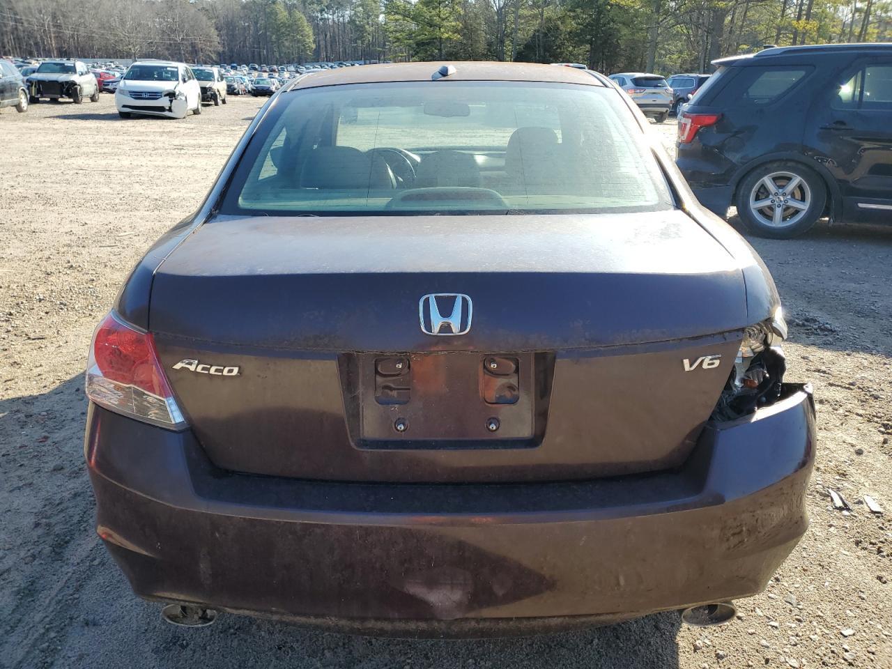 2010 HONDA ACCORD EXL - Image 6