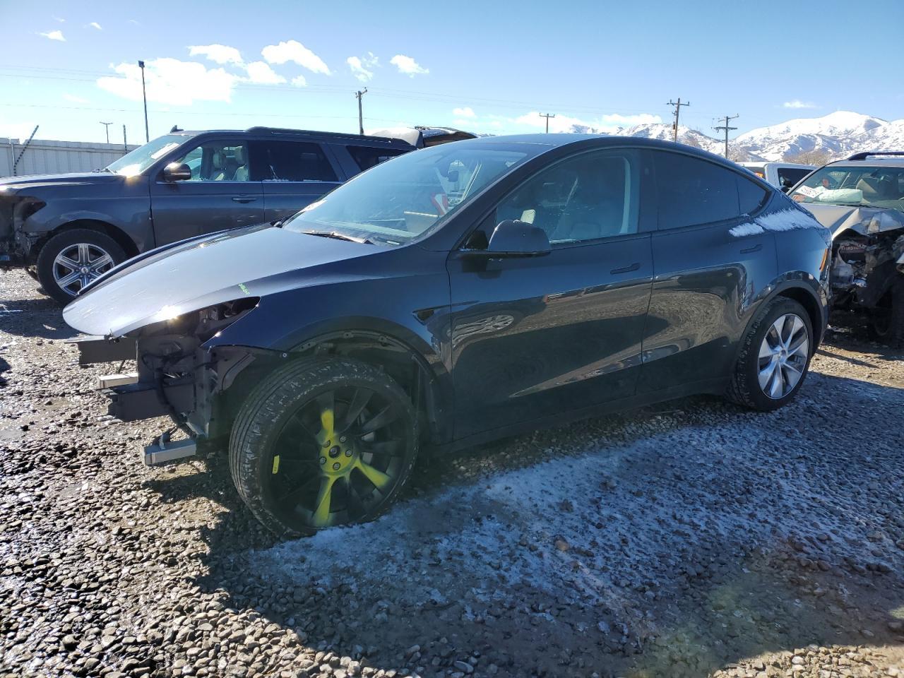 2024 TESLA MODEL Y