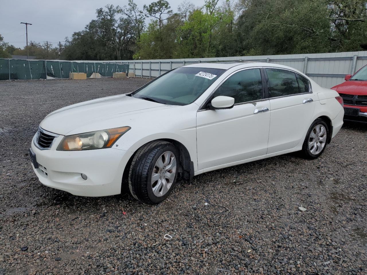 2010 HONDA ACCORD EXL