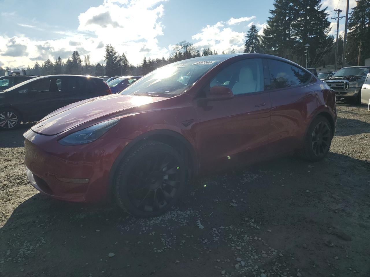 2024 TESLA MODEL Y