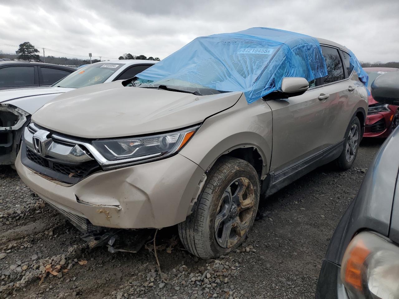 2019 HONDA CR-V EXL