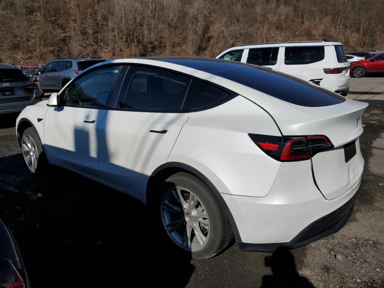2023 TESLA MODEL Y - Фото 2