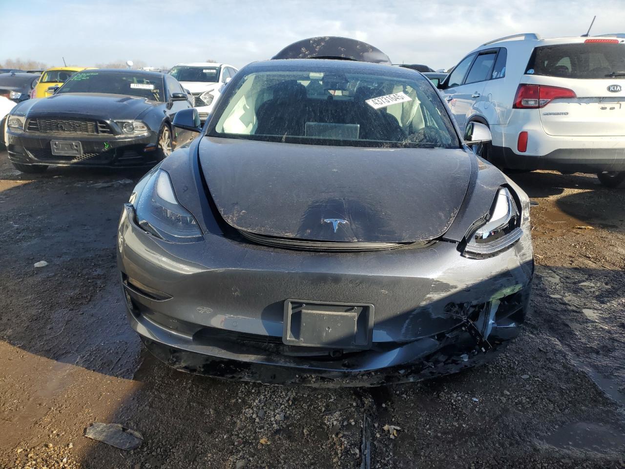 2021 TESLA MODEL 3 - Фото 5