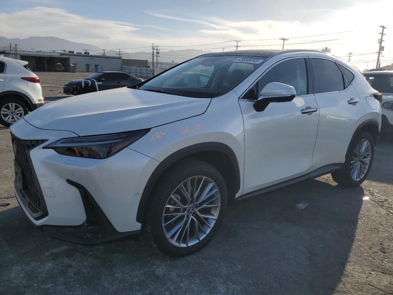 2024 LEXUS NX 350H BA