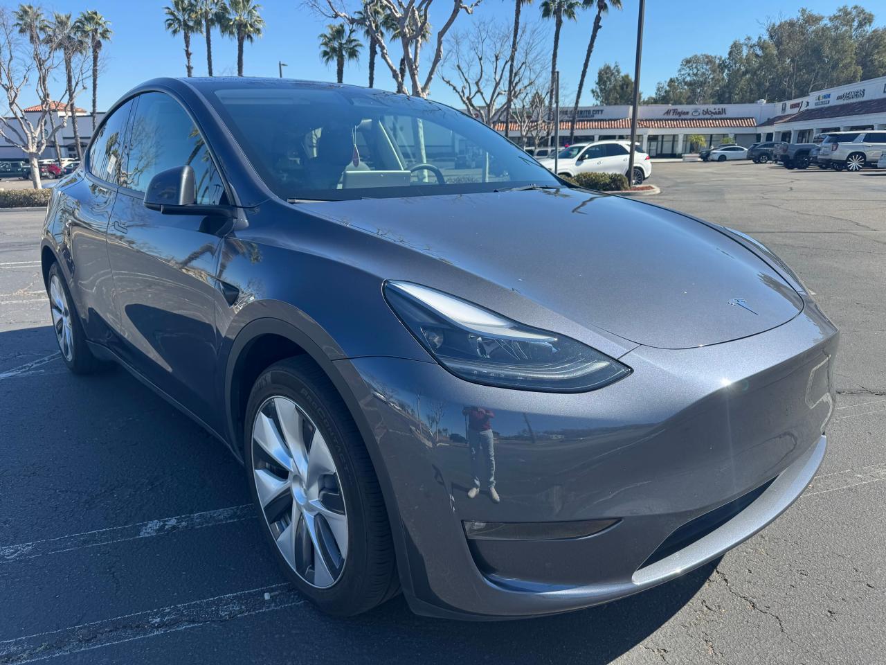 2023 TESLA MODEL Y car image