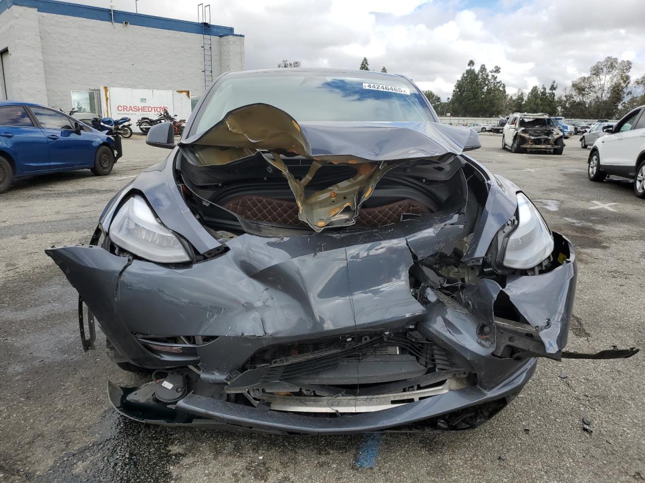 2023 TESLA MODEL Y - Фото 5
