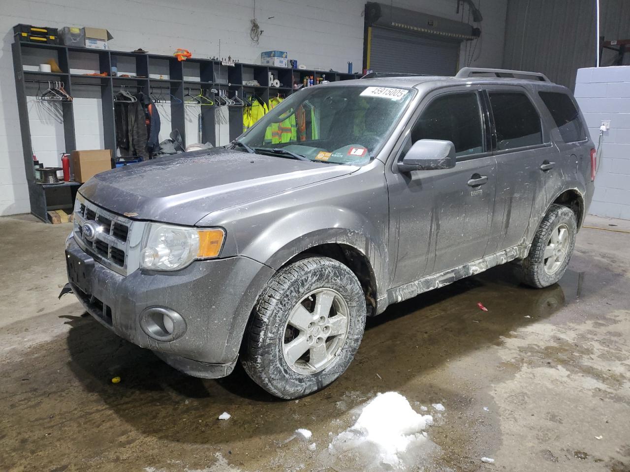 2010 FORD ESCAPE XLT