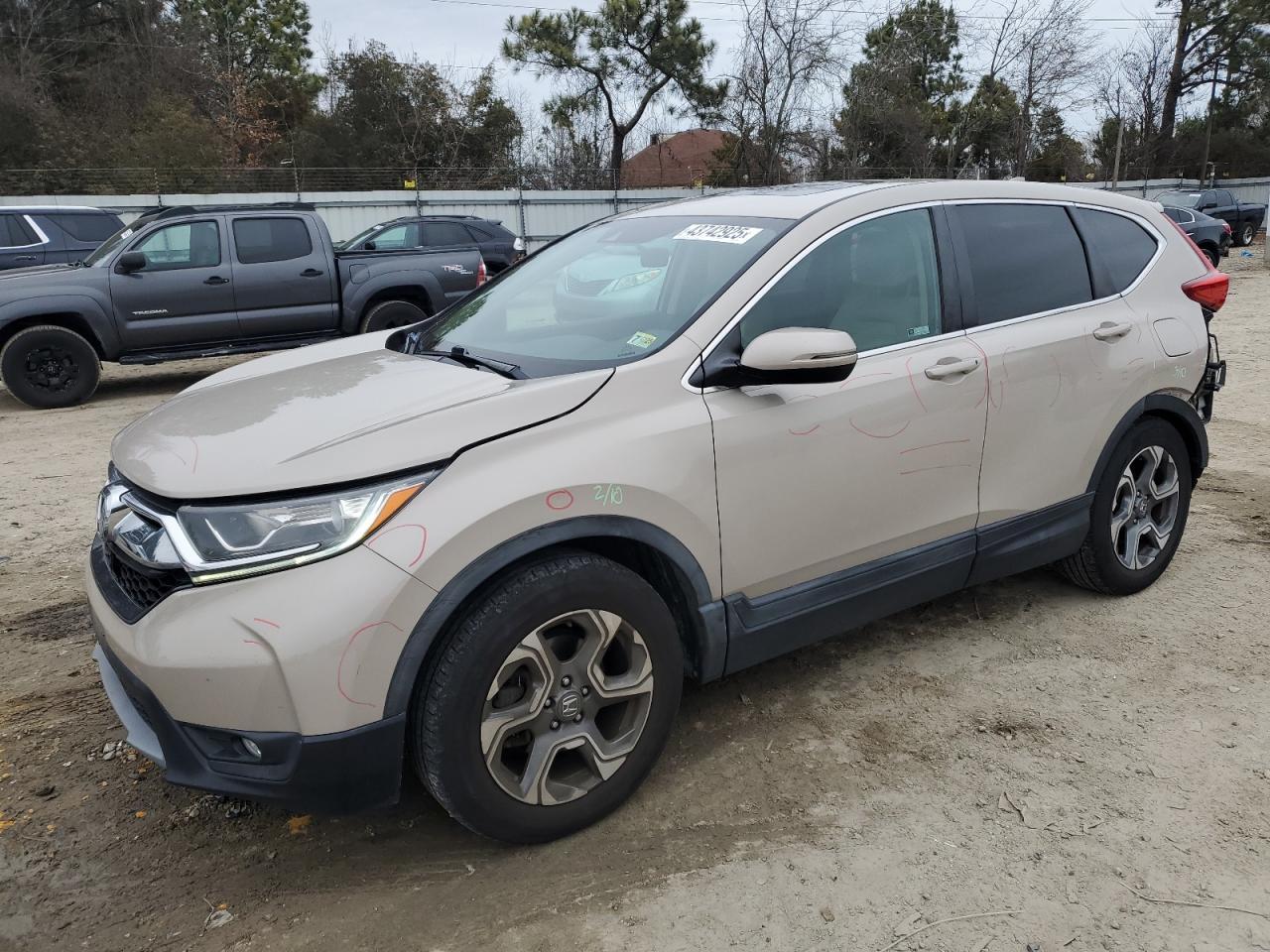 2019 HONDA CR-V EX